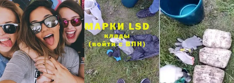 как найти закладки  Камень-на-Оби  LSD-25 экстази ecstasy 