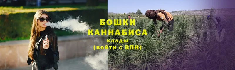 Бошки Шишки White Widow  Камень-на-Оби 